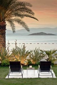 {{URUNADI}} {{URUNADI}}