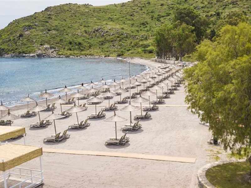 {{URUNADI}} {{URUNADI}}