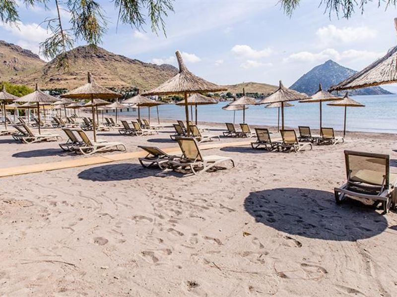 {{URUNADI}} {{URUNADI}}