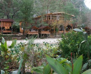 Türkmen Tree Houses