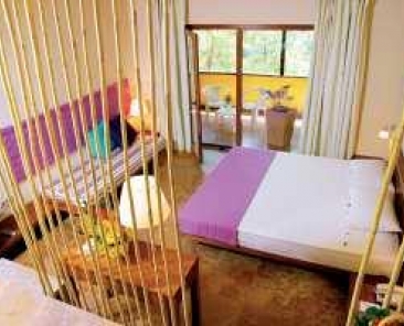 Magic Life Sarıgerme