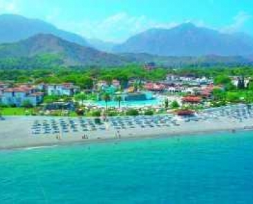 Club Turtle`s Marco Polo