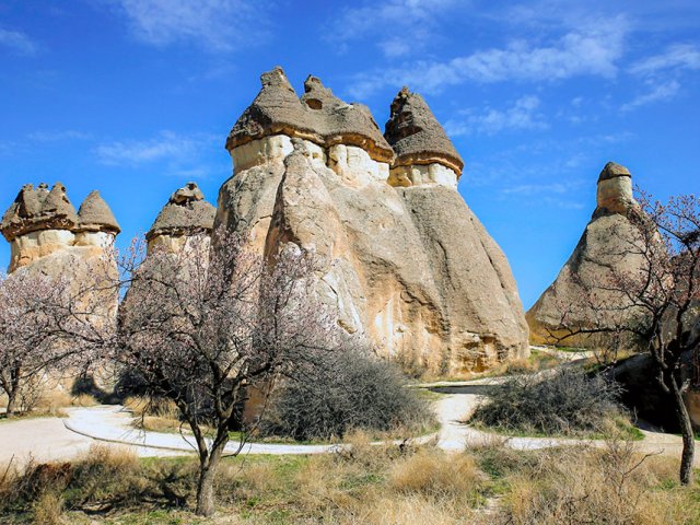 {{BASLIK}} {{BASLIK}}