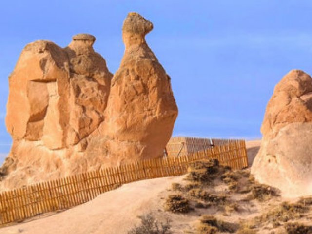 {{BASLIK}} {{BASLIK}}