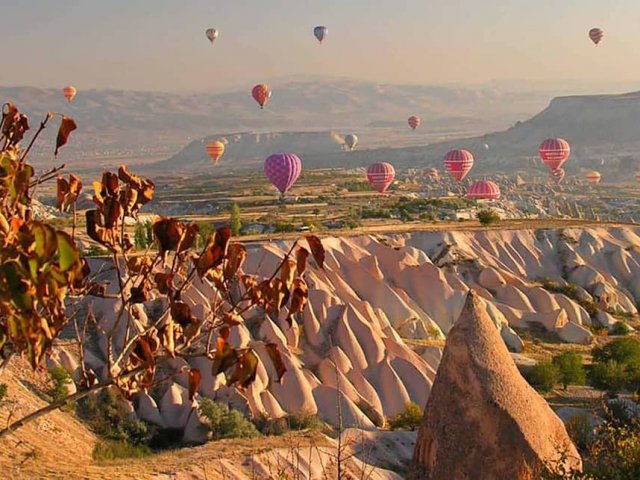 {{BASLIK}} {{BASLIK}}