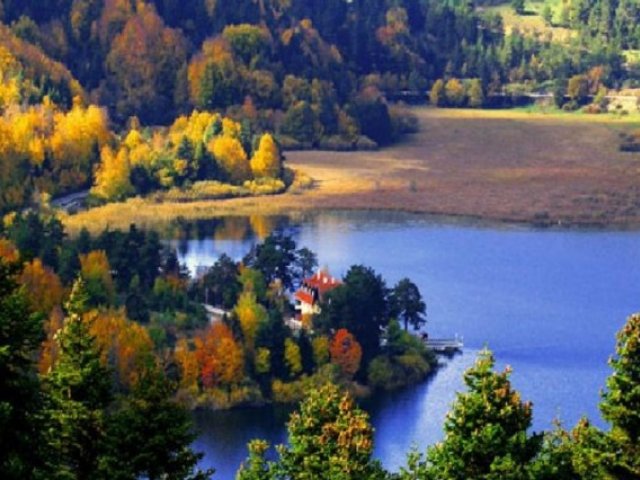 {{BASLIK}} {{BASLIK}}