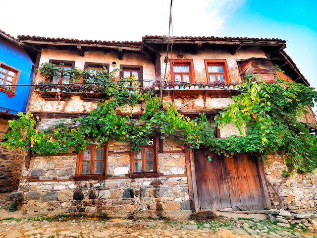 {{BASLIK}} {{BASLIK}}